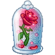 Eternal Rose