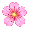 Sakura Flower
