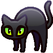 Scared Cat